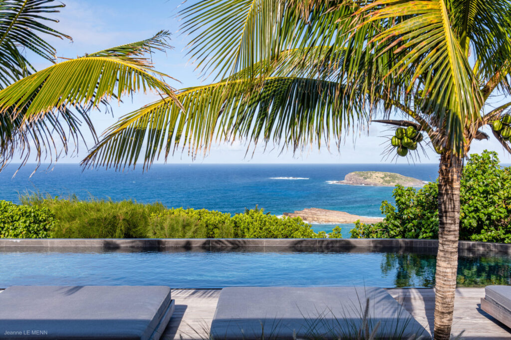 Villa Valentina, St. Barts: infinity pool and deck with a palm tree overlooking the sea.